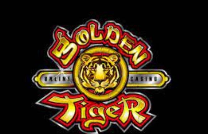 golden tiger
